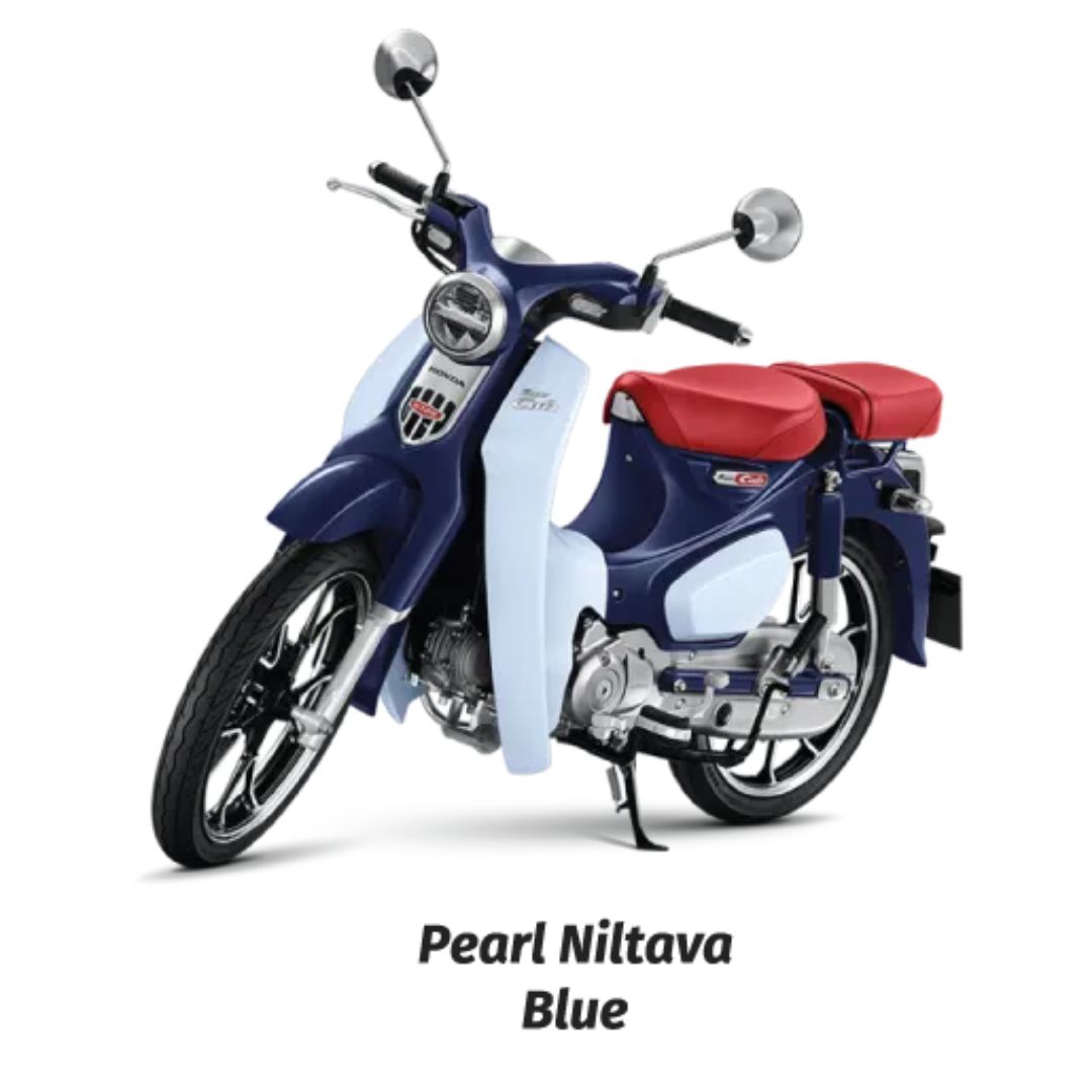 Pearl Niltava Blue